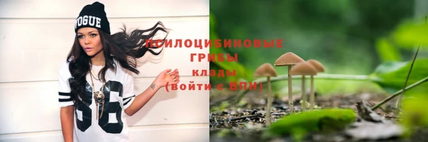 Альфа ПВП Кинешма