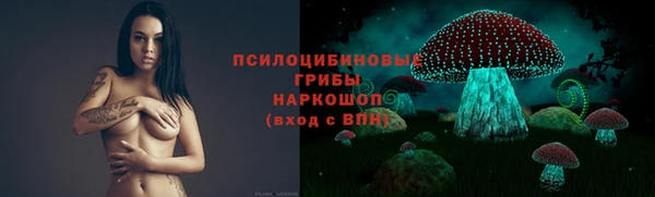 молекула духа Киреевск