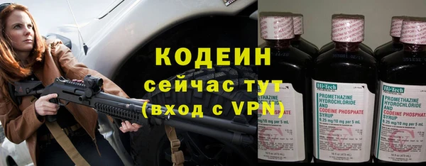 молекула духа Киреевск