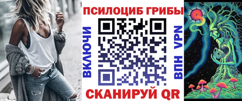 Галлюциногенные грибы Psilocybe  Купить закладки  Зверево 